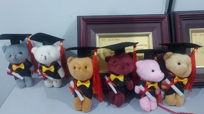 6 COLOUR Graduation teddy Bear 12-13CM
