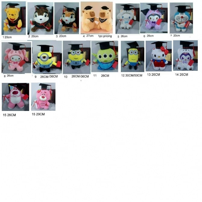 Graduation Pooh capypara minion chip dale soft toys 22-25CM