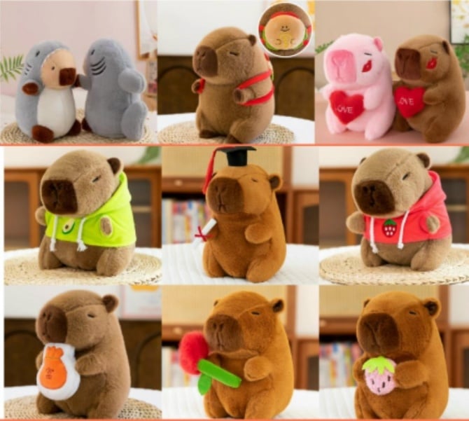 CAPYBARA plush soft toys doll 25cm