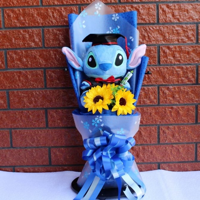 Graduation doreamon pig teddy bear hello kitty with Gift Box