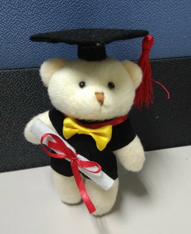Graduation teddy Bear 12-13CM