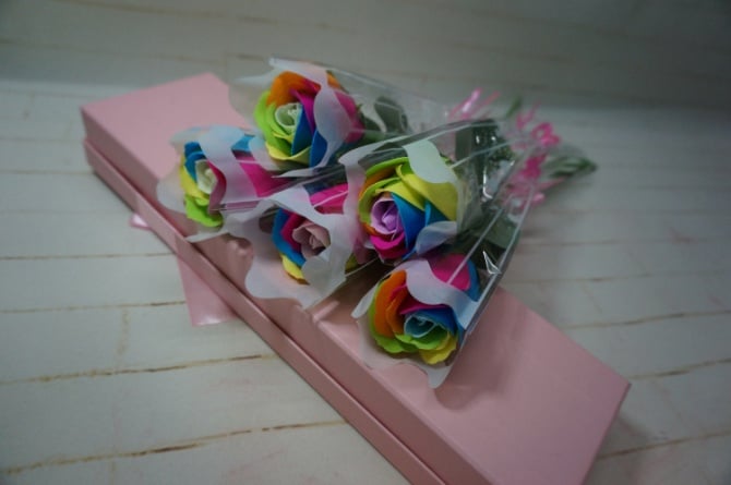 rainbow rose flower