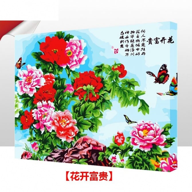 DIY Painting By Numbers Home Decor 40*50cm (design no: 38711)