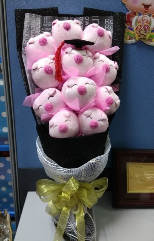 11pcs graduation pig with gift box