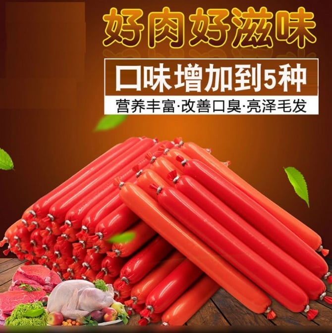 Dog dog pets hot dog